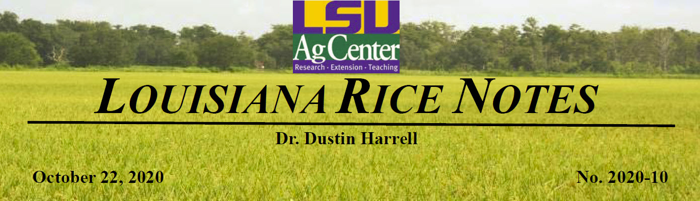 2020 Louisiana Rice Field Notes #10
